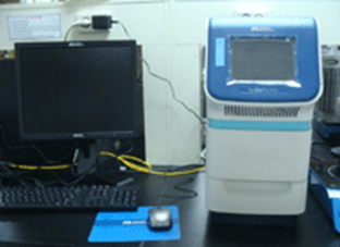 Real-time PCR (3)